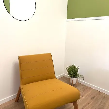 Apartment « petit Paris » - T2 Centre Parking/balcon