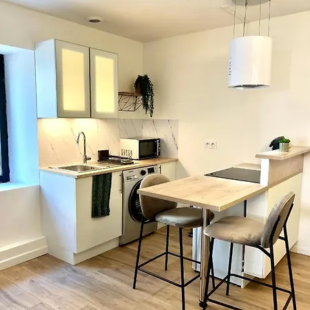 Apartment « petit Paris » - T2 Centre Parking/balcon Albertville